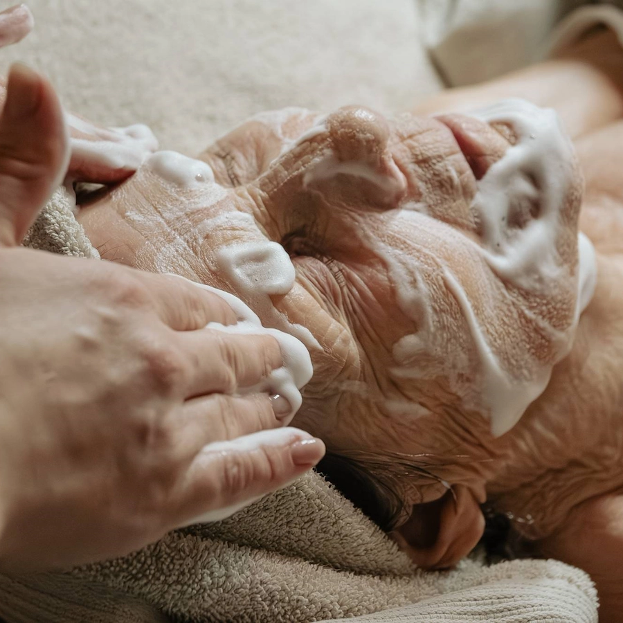 Äldre kvinna får en avslappnande ansiktsbehandling i samband med sitt besök på Vimmerby Stadshotell Spa – mjukt skum och varsamma händer ger lugn och återfuktning.